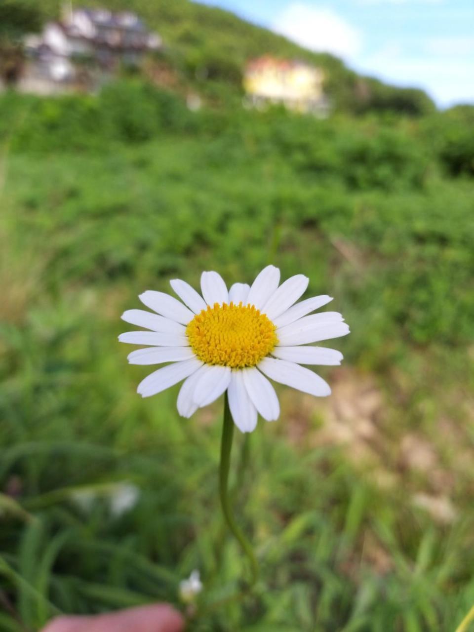 Oneday In Geoje Villa Ngoại thất bức ảnh